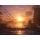 PlayStation Assassin's Creed Black Flag Resynced - 1526374 - zdjęcie 3